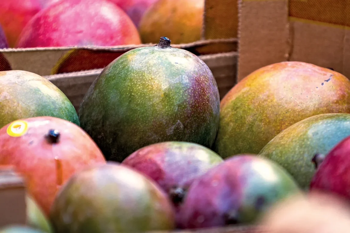 franca-bloqueia-frutas-do-mercosul-por-uso-de-agrotoxicos-proibidos-proibidos-na-europa