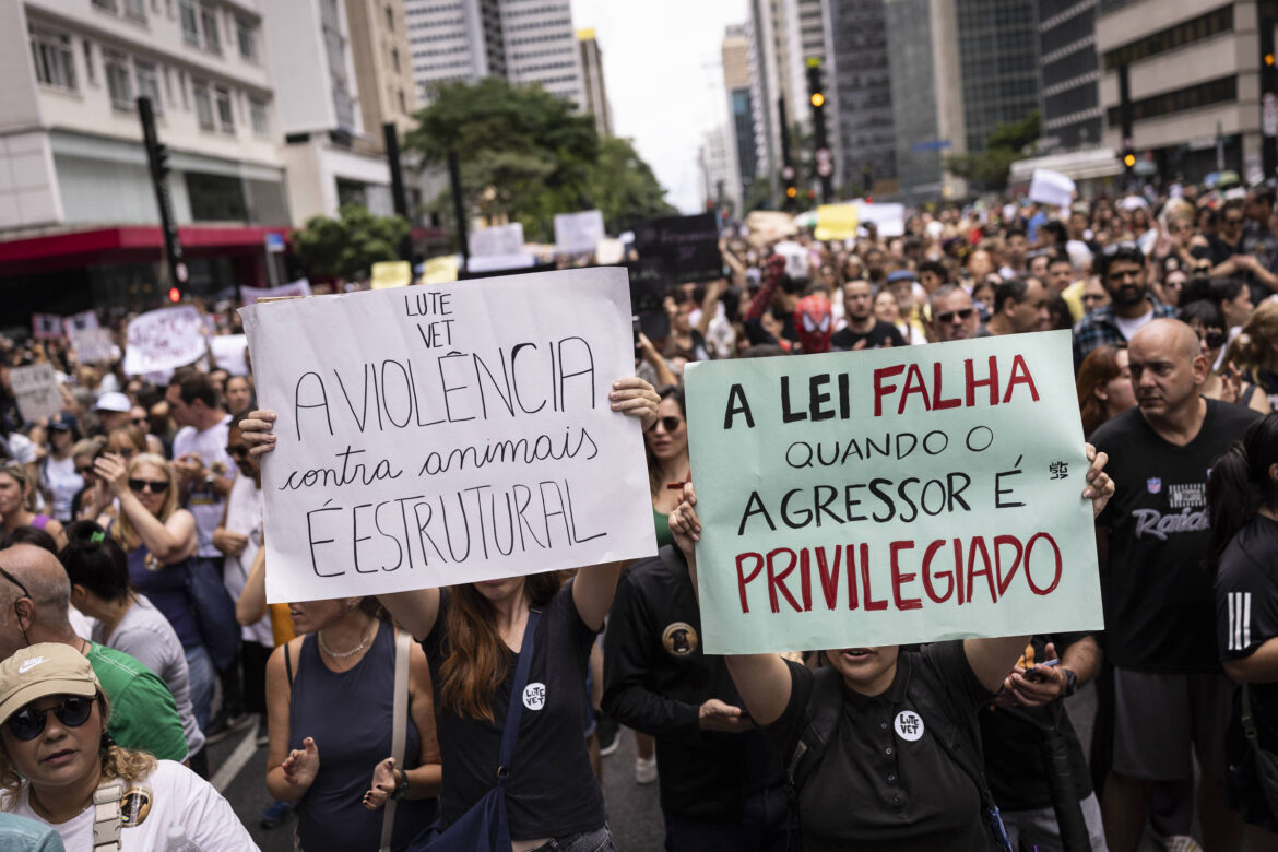 autor-de-proposta-sobre-reduzir-maioridade-admite-incluir-crimes-contra-pets,-apos-caso-orelha