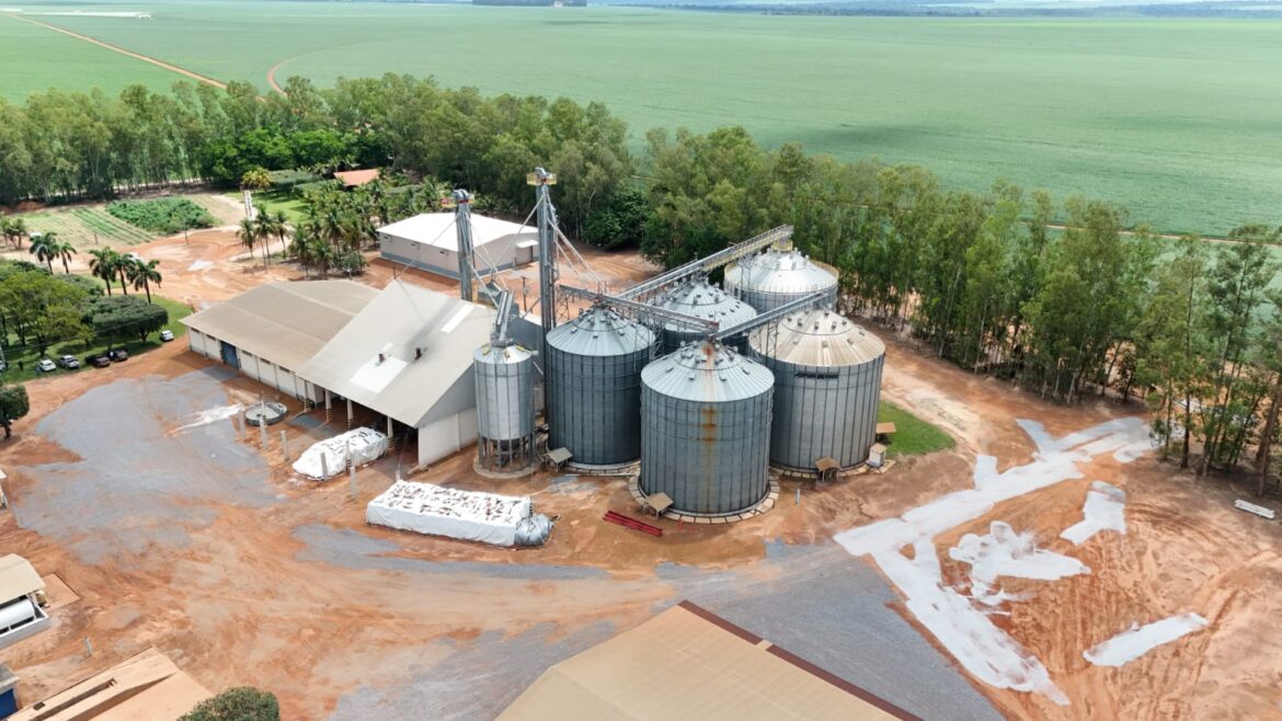 em-dez-anos,-cat-sorriso-multiplica-certificacoes-da-soja-responsavel-e-fortalece-a-agricultura-regenerativa-em-mato-grosso