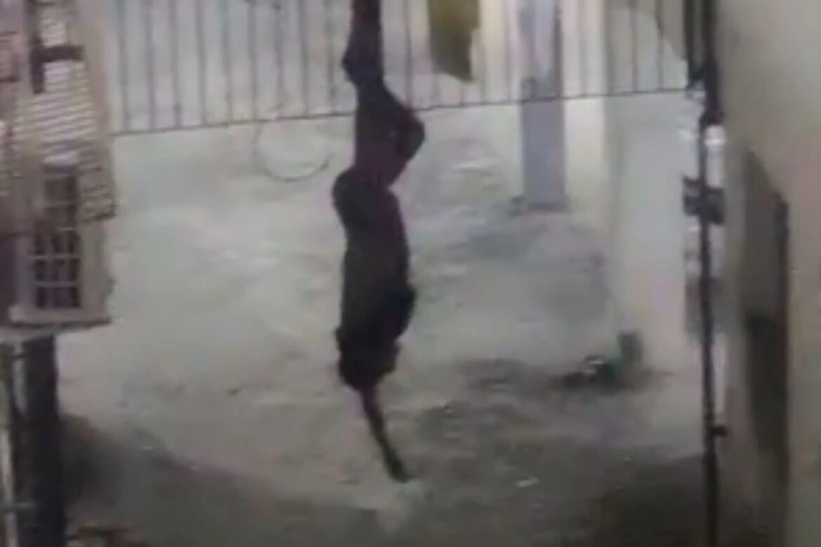 suspeito-de-invadir-predio-fica-pendurado-em-portao-em-salvador