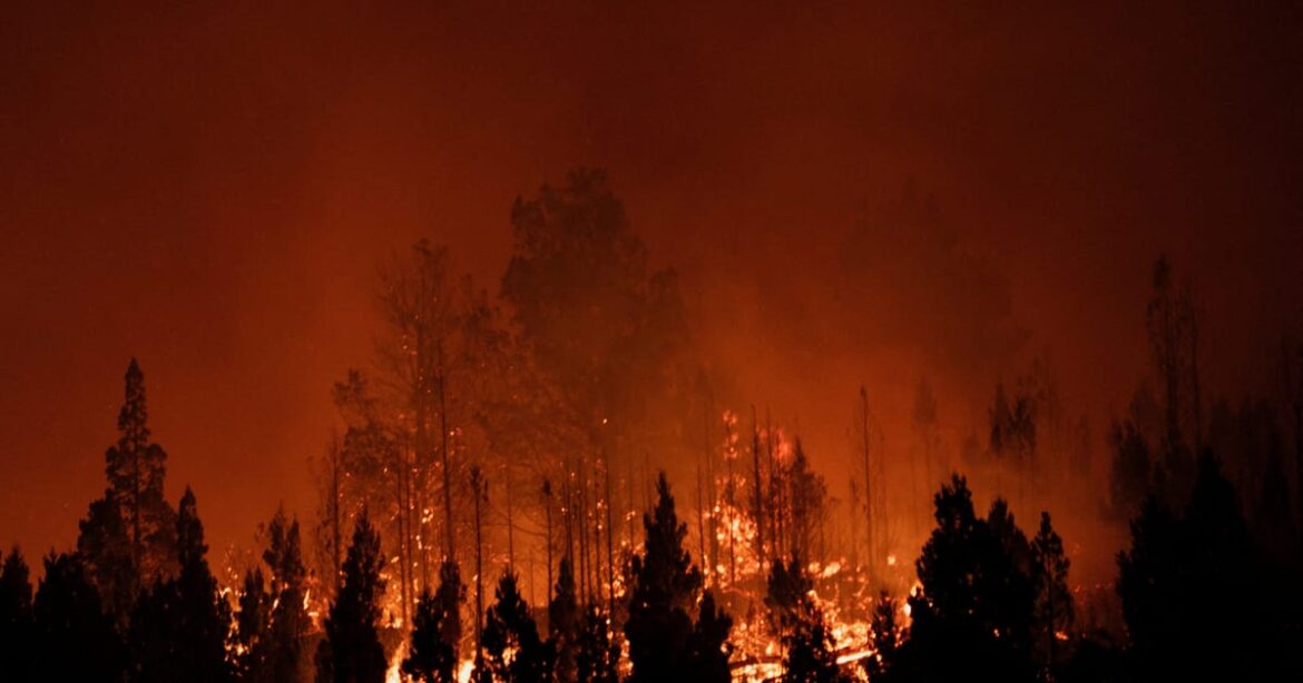 calor-recorde-e-incendios-devastadores-marcam-inicio-de-2026-no-hemisferio-sul