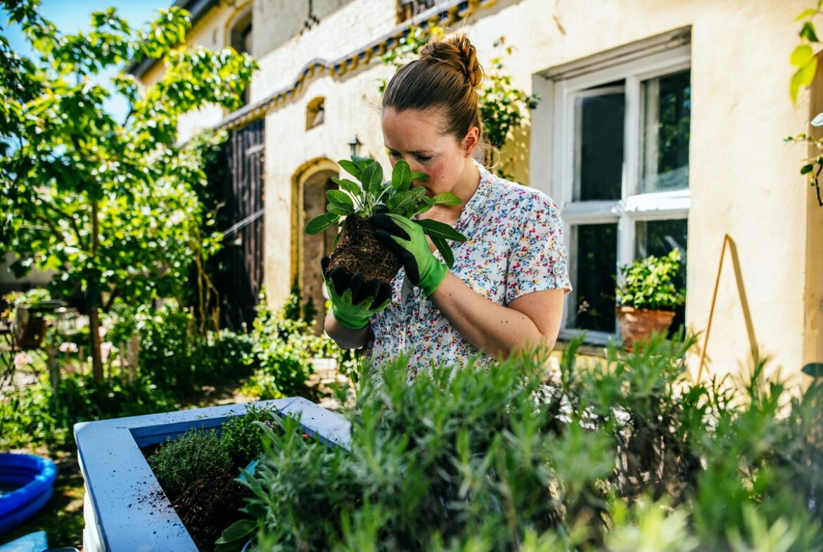 biofilia:-como-plantas-dentro-de-casa-transformam-a-saude-mental