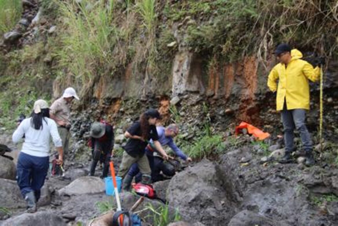 era-do-gelo?-cientistas-acham-fossil-de-preguica-gigante-na-costa-rica