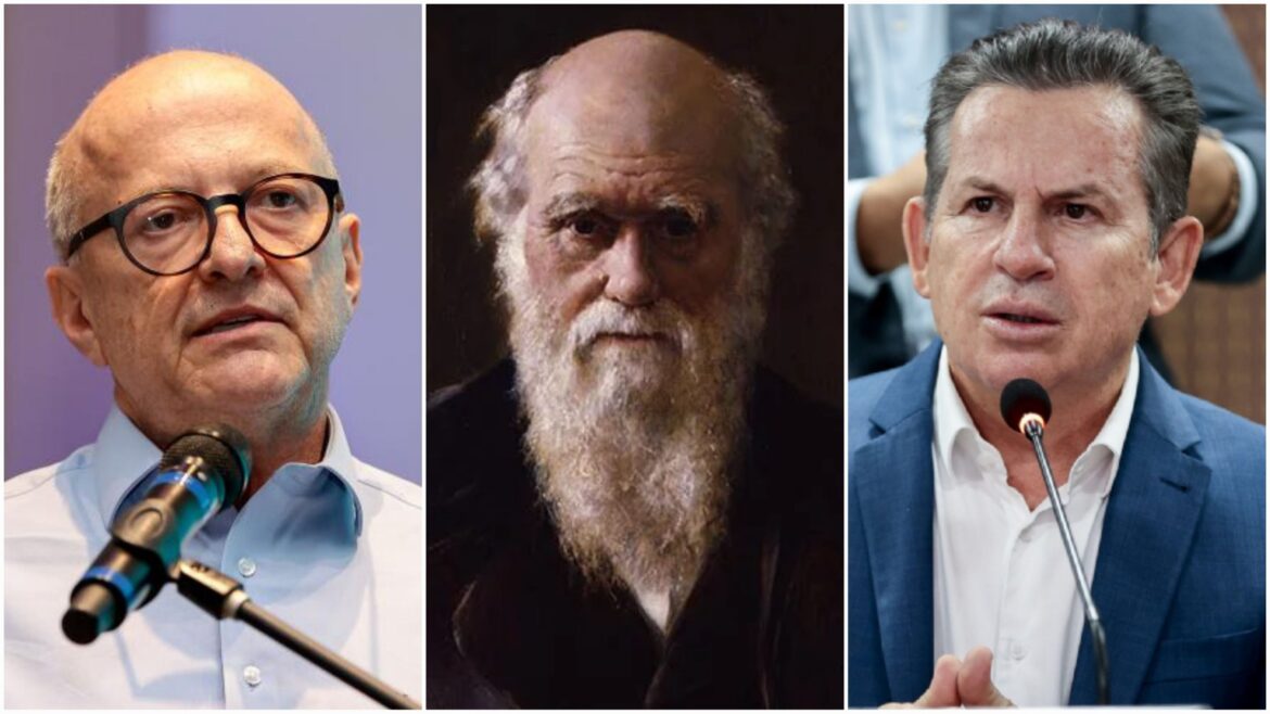 otaviano-pivetta-diz-que-sera-um-mauro-mendes-evoluido