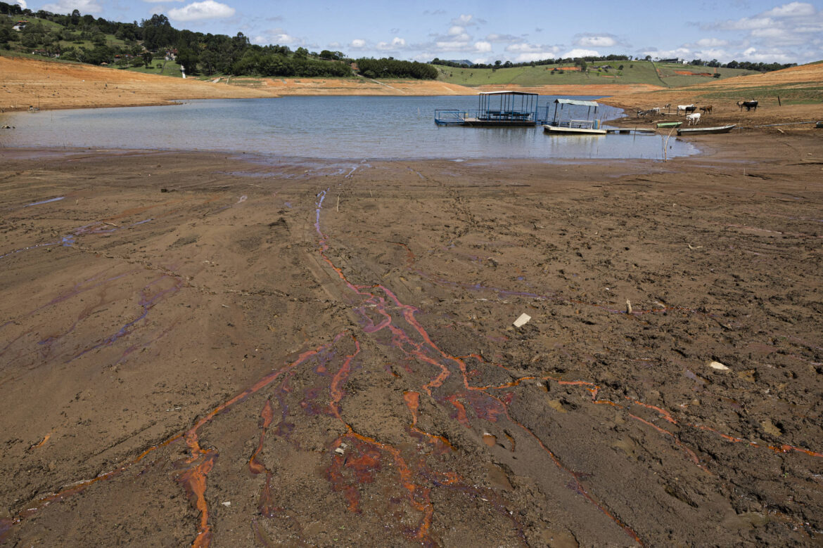 associacao-diz-que-faltam-pesquisadores-cientificos-na-gestao-tarcisio