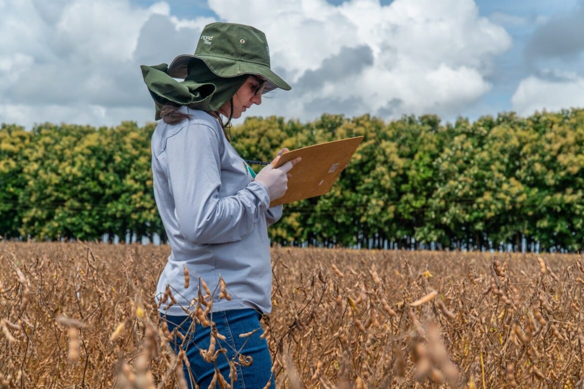 pesquisas-cientificas-voltada-ao-campo-tornam-lavouras-mais-eficientes-e-economicas-ao-produtor