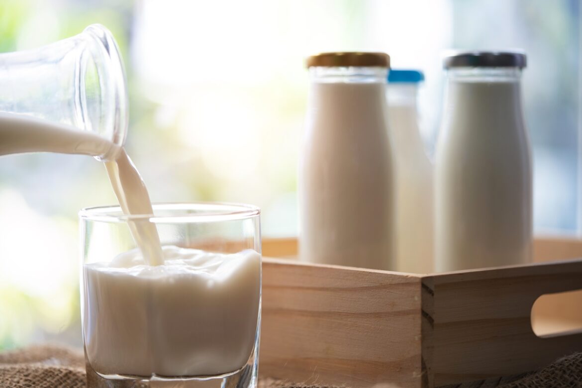 camara-aprova-projeto-que-veda-termo-'leite'-em-produtos-vegetais