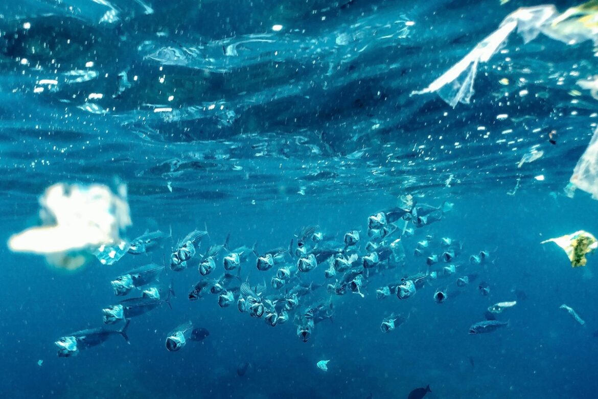 fotocatalise:-como-o-uso-da-luz-pode-ajudar-a-limpar-rios-e-mares
