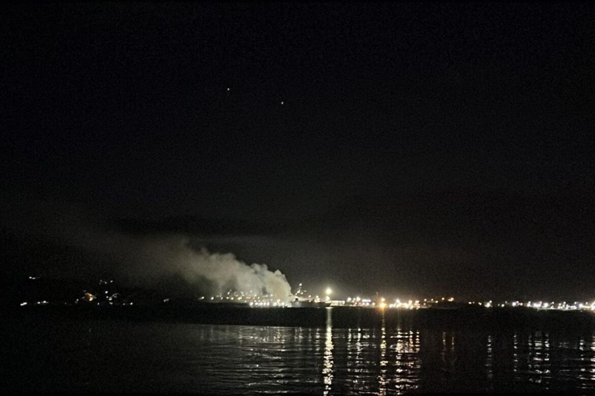 videos-mostram-resgate-de-gado-apos-incendio-em-navio-no-litoral-de-sp