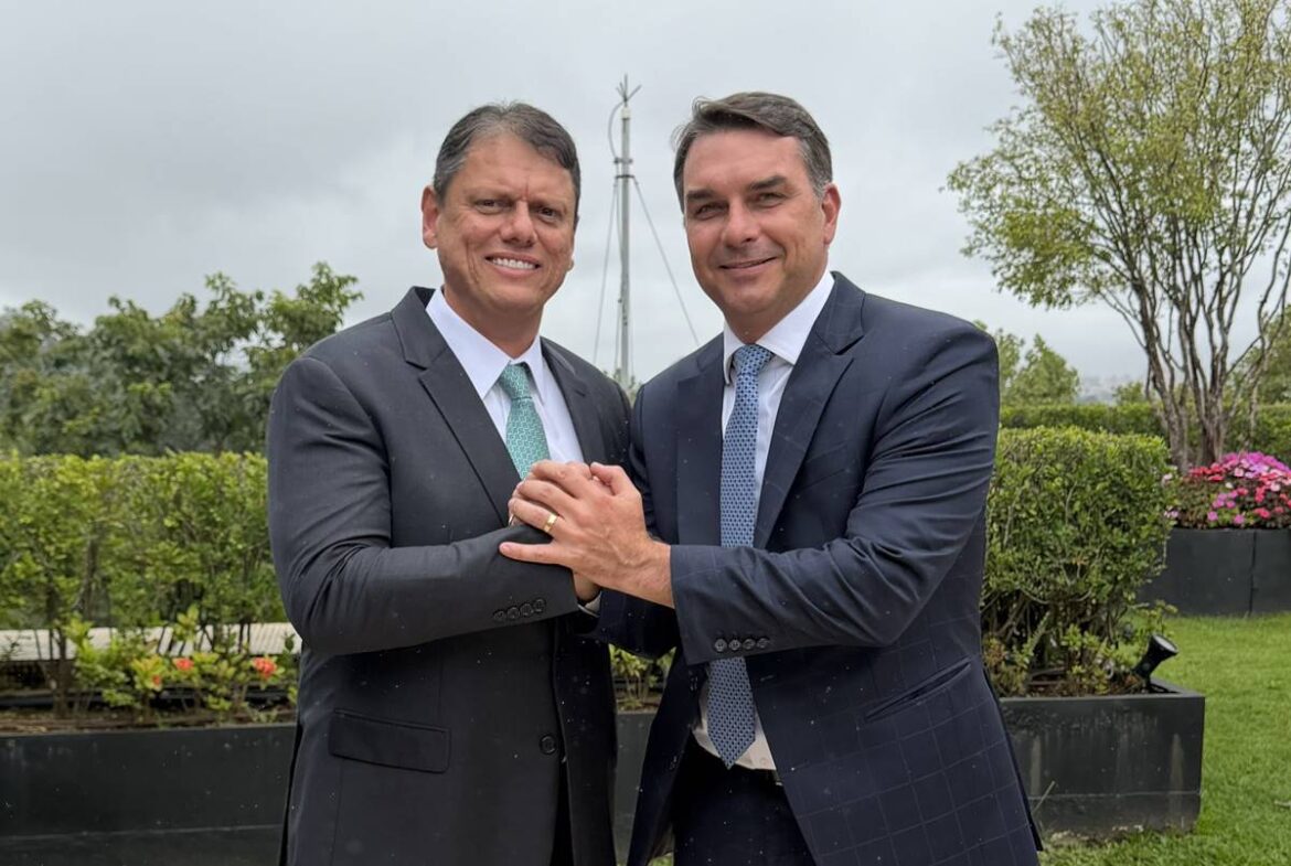 ex-auxiliar-de-tarcisio-elabora-plano-de-flavio-para-seguranca