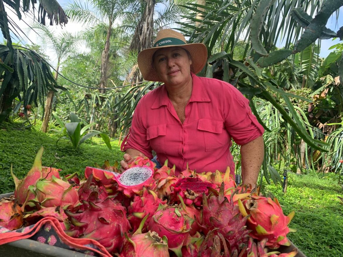 mulheres-ampliam-protagonismo-no-campo-e-estimulam-a-producao-rural-na-regiao-de-sorriso