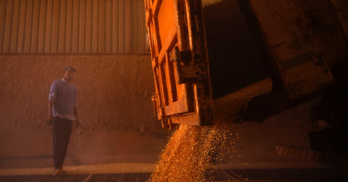 diesel-mais-caro-e-principal-problema-da-guerra-para-o-agro-do-brasil-no-curto-prazo