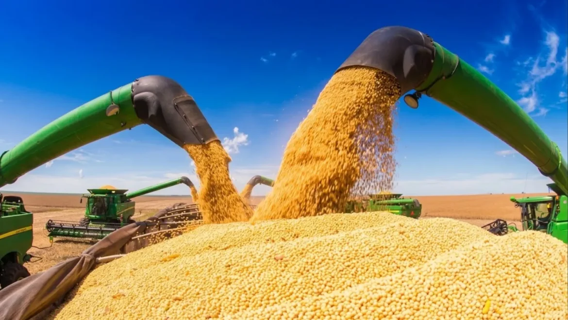 mato-grosso-ja-negociou-56%-da-safra-de-soja-e-consolida-nova-rota-de-exportacao-pelo-arco-norte