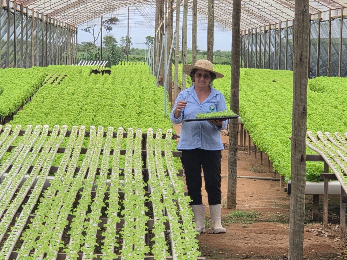 no-campo,-produtora-rural-transforma-conhecimento-em-renda-e-sustenta-a-familia-com-a-producao-de-hidroponia