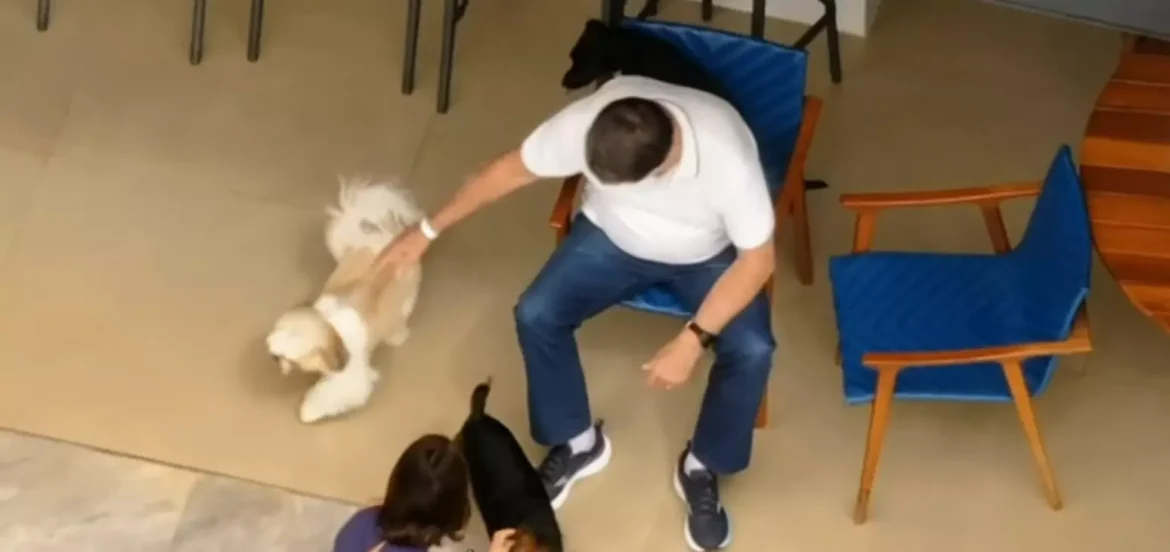 bolsonaro,-hitler-e-as-cenas-de-amor-por-cachorros-para-humanizar-monstros