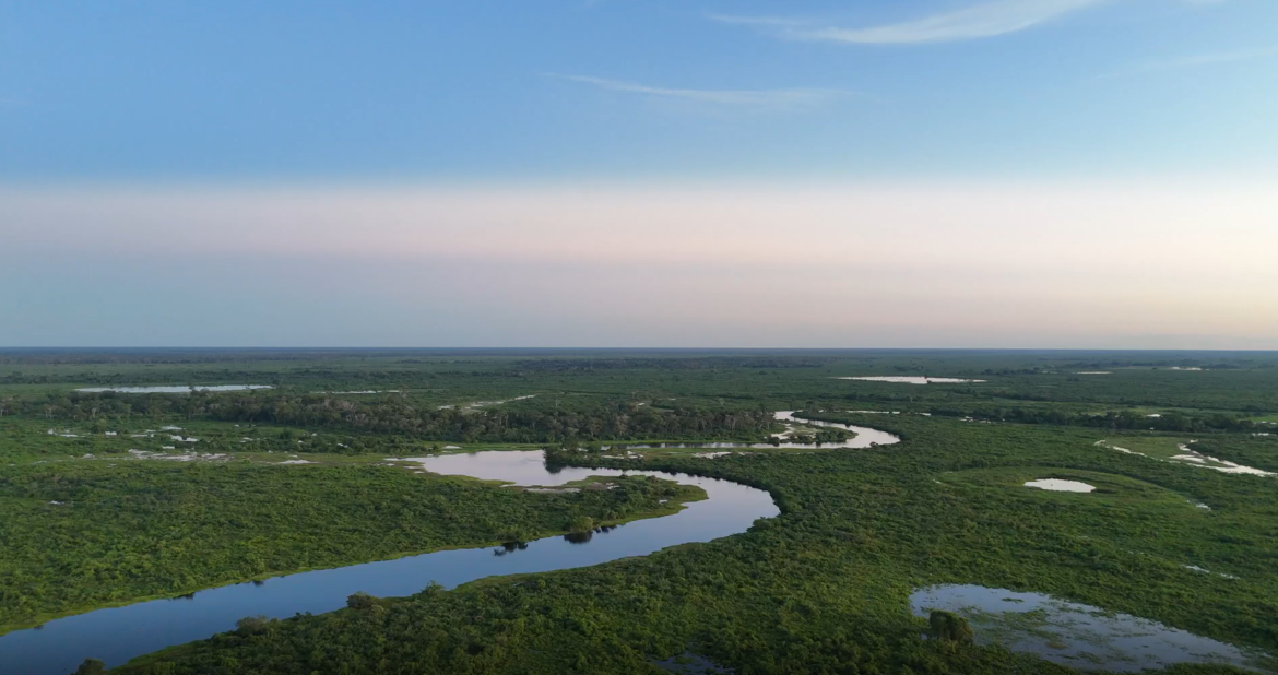 governo-federal-anuncia-ampliacao-de-unidades-de-conservacao-no-pantanal-de-mt
